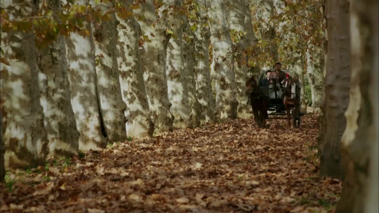 Кадры из сериала Королёк – птичка певчая 9 серия 1 сезон (1986)